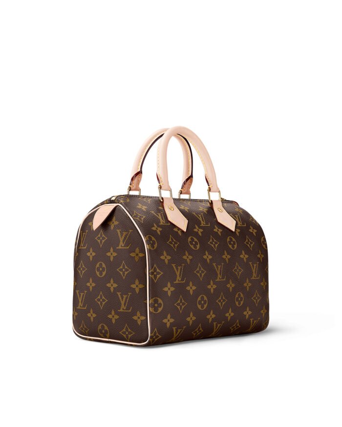 Louis Vuitton SPEEDY 25 Handbag Fashionable Classic2