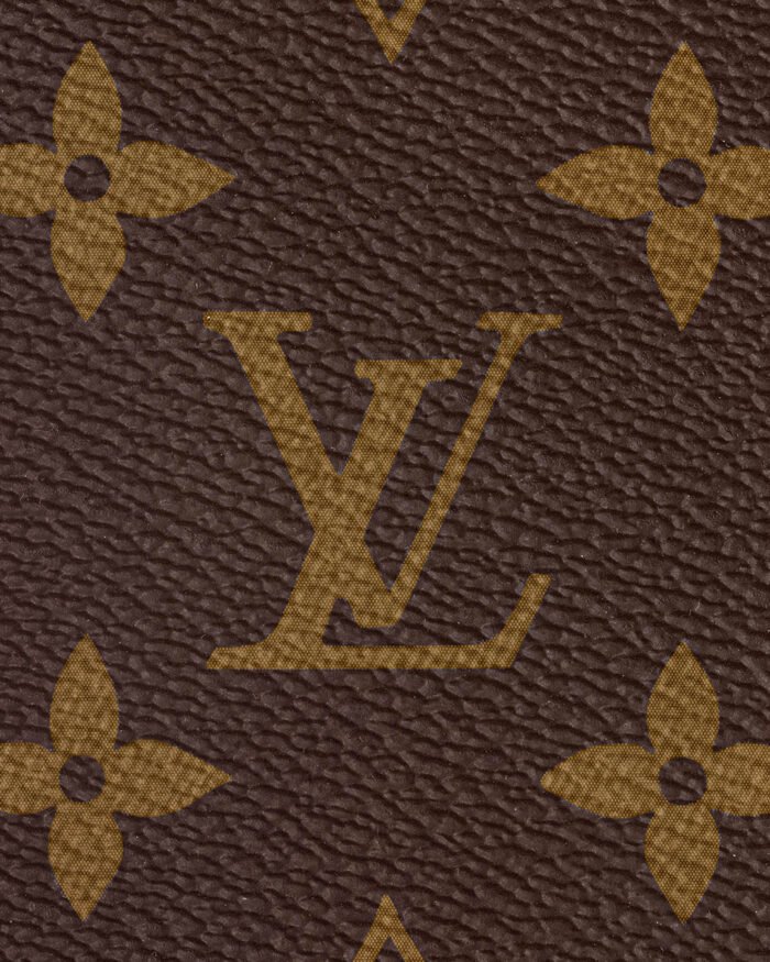 Louis Vuitton SPEEDY 25 Handbag Fashionable Classic6