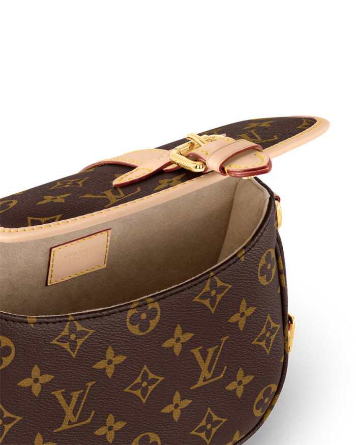Louis Vuitton Saumur BB handbag4